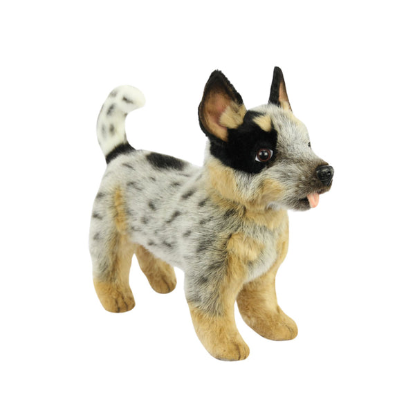 Standing Animal Blue Heeler Puppy 41cm L