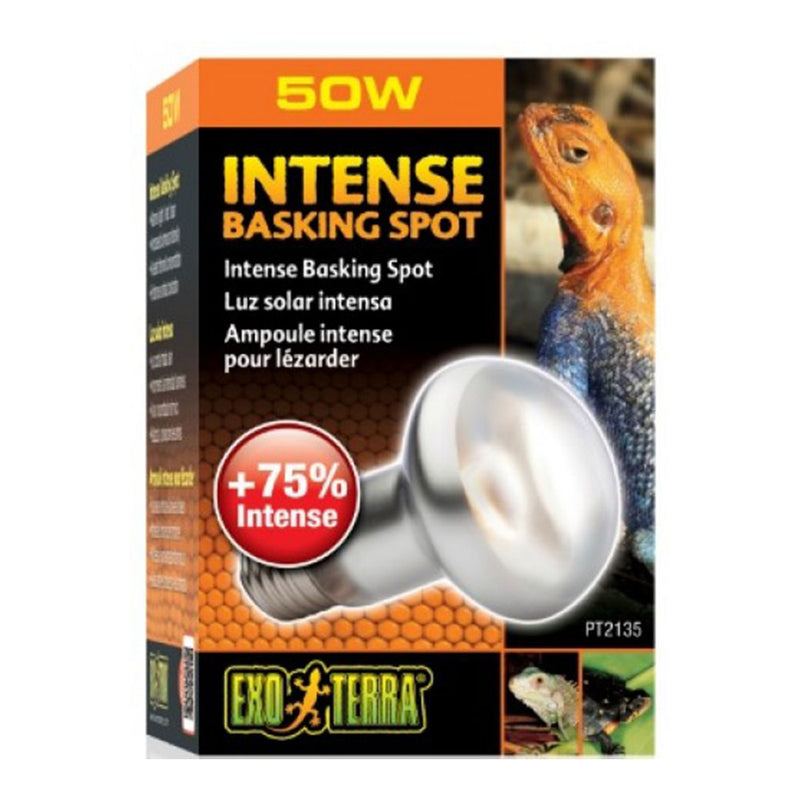 Exo Terra Intense Basking Spot Lampe