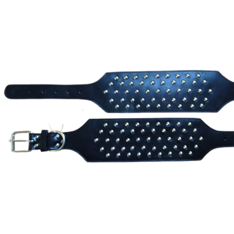 Studded Pig Collar (10x65cm)