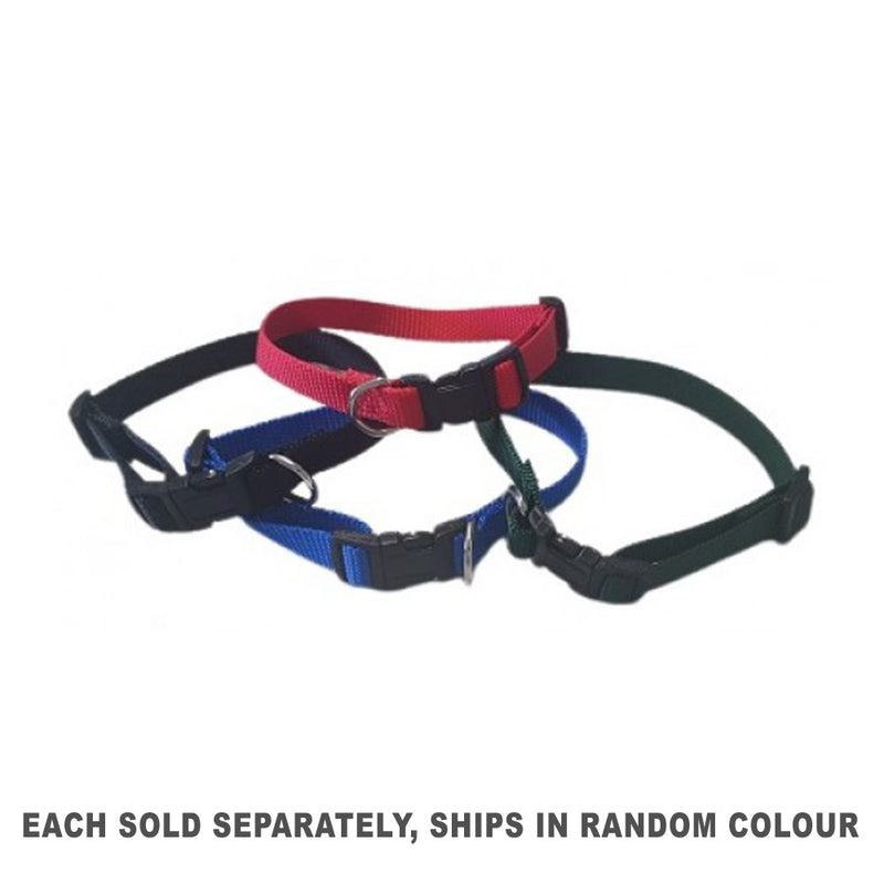 Nylon Adjustable Collar (1pc Random)