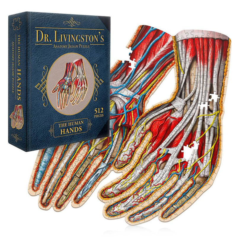 Dr. Livingstons Anatomie -Puzzle -Puzzle