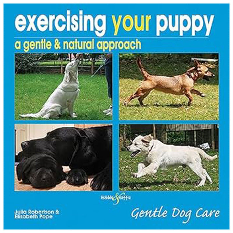 Exercising Your Puppy A Gentle and Natural Approach