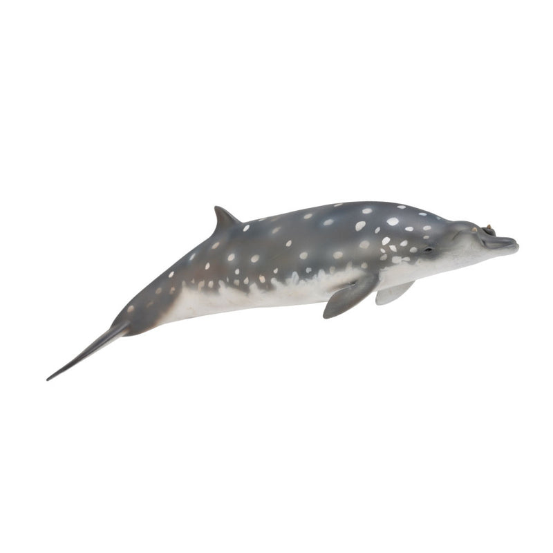 CollectA Blainvilles Beaked Whale Figure (Large)