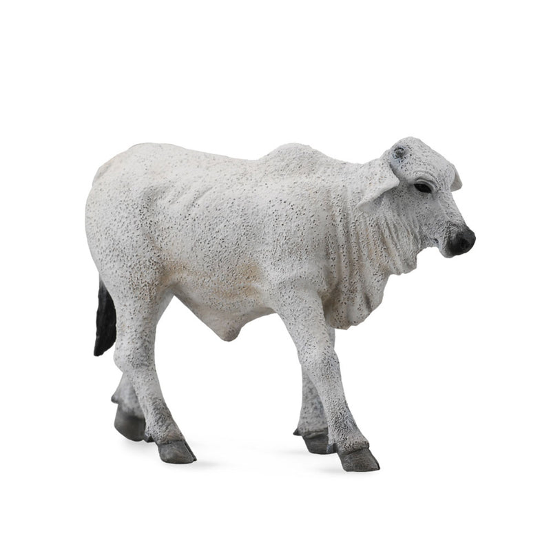 Figure de veau Brahman Collecta (Small)