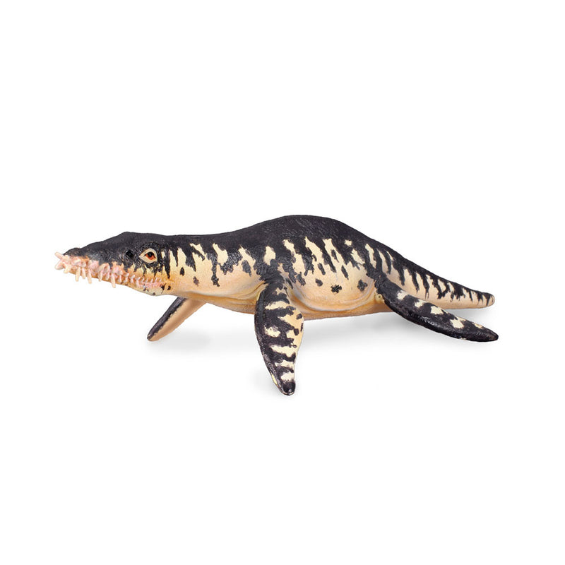 CollectA Liopleurodon Figure (Large)