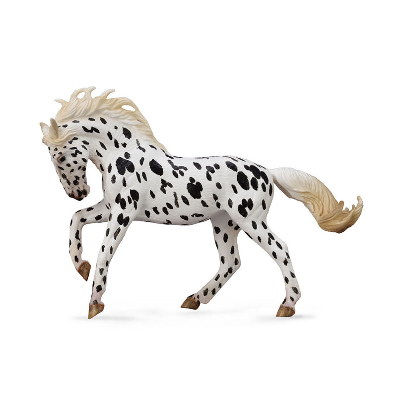 CollectA Knabstrupper Mare Black Leopard Figure (XL)