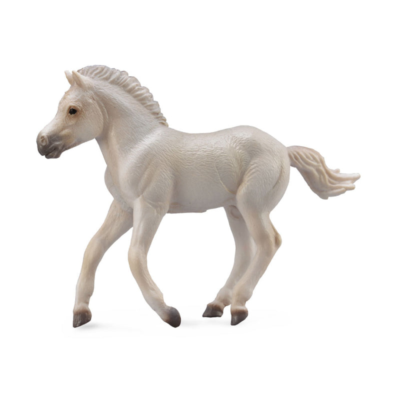 CollectA Fjord Foal Figure (Medium)