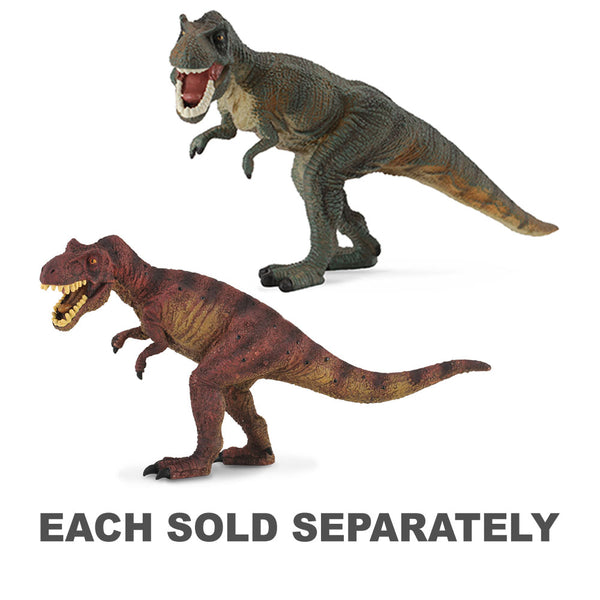 CollectA Tyrannosaurus Rex Dinosaur Figure (Large)