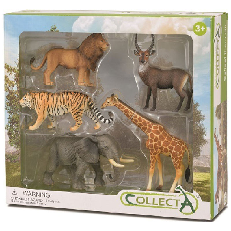 Collecta Wild Life 5 pièces