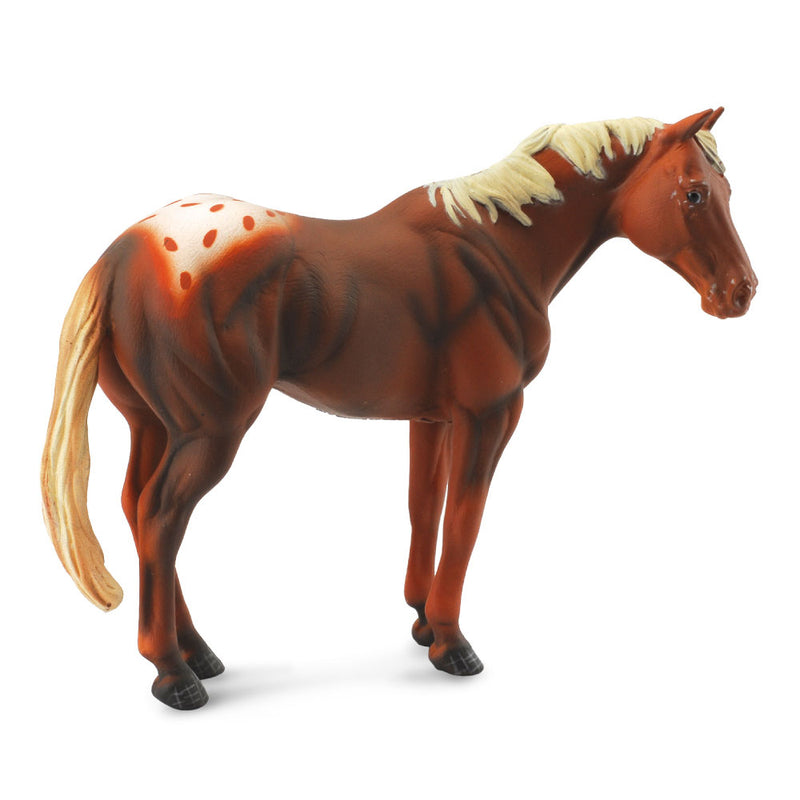 CollectA Chestnut Appaloosa Stallion Figurine XL