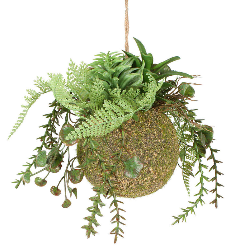 Moana Kokedama Mixed Hanging