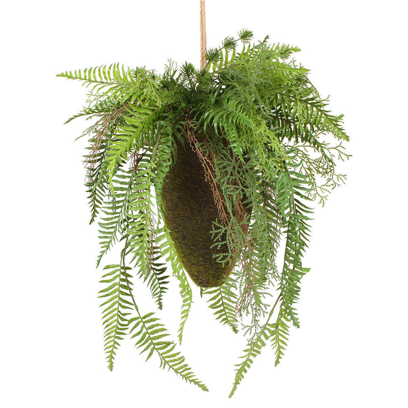 Moana Kokedama Suspension Mixte