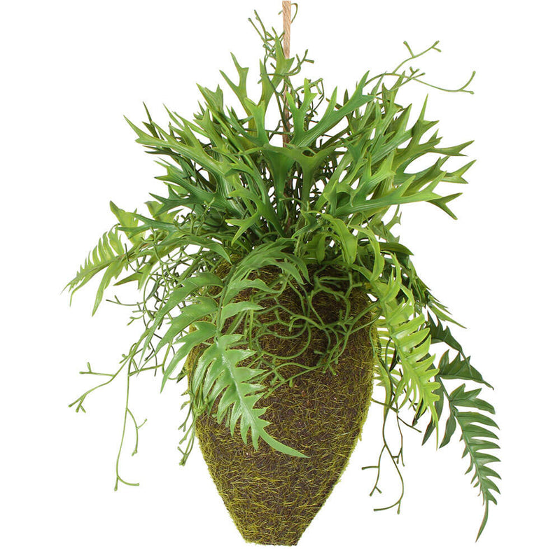 Moana Kokedama Suspension Mixte