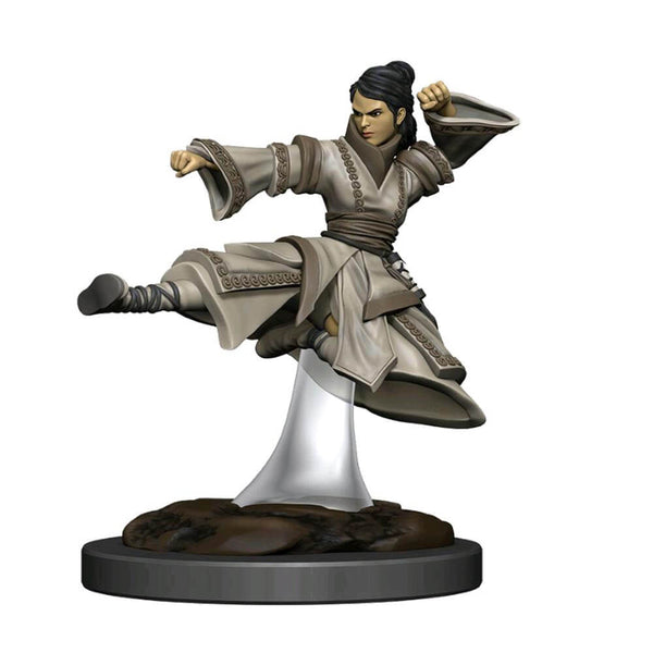 D&D IR Human Monk Female Premium Figure