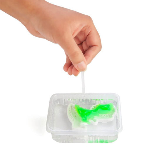 Dinosaur Aqua Jelly Set