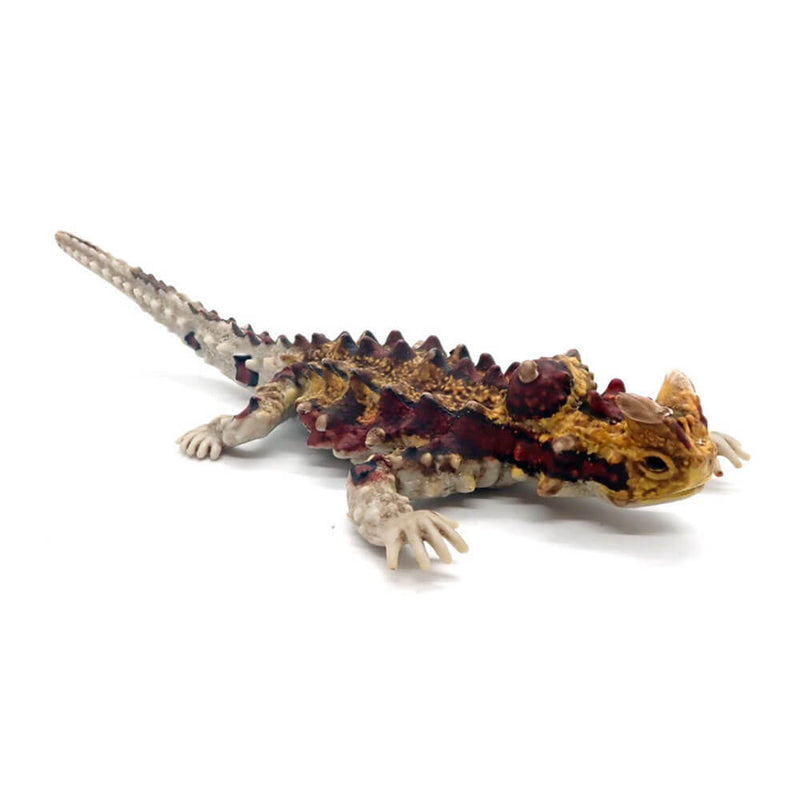 Animals of Australia Thorny Devil Replica